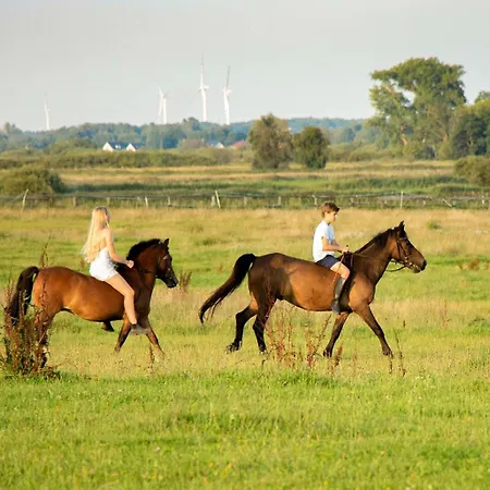 Parco vacanze Debowa Osada