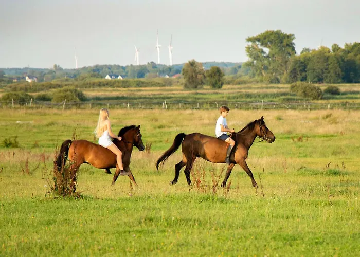 Parque de vacaciones Debowa Osada